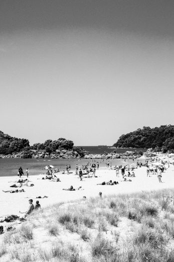 Kiwi Summer - BW