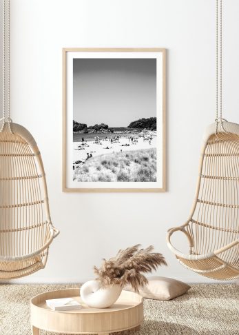 Alternative view of Kiwi Summer - BW
