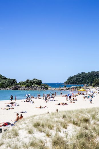 Kiwi Summer