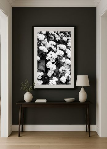 Alternative view of Petal Noir