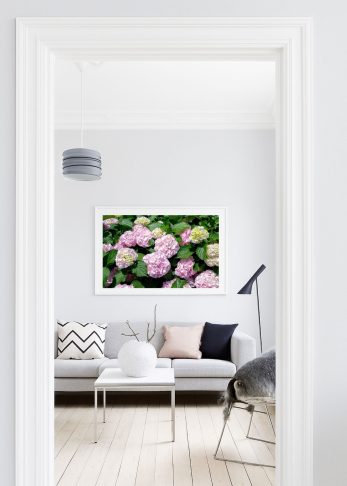 Alternative view of Summer Bloom